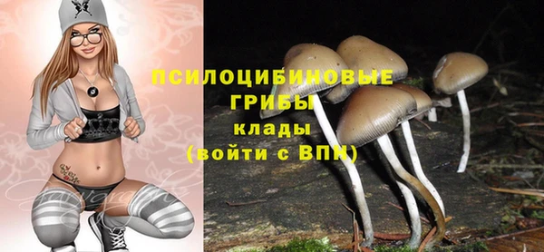 2c-b Семёнов