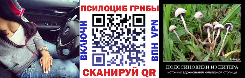 купить наркоту Дедовск Галлюциногенные грибы мухоморы
