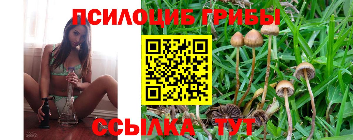 где найти наркотики  Псилоцибиновые грибы Magic Shrooms  Вход с VPN  Дедовск 