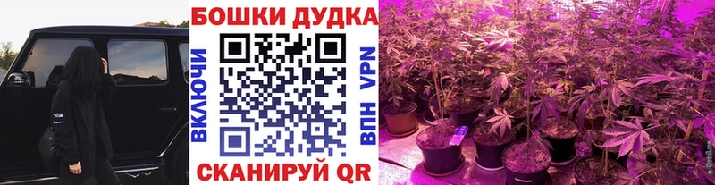 цена   Дедовск  Конопля план 